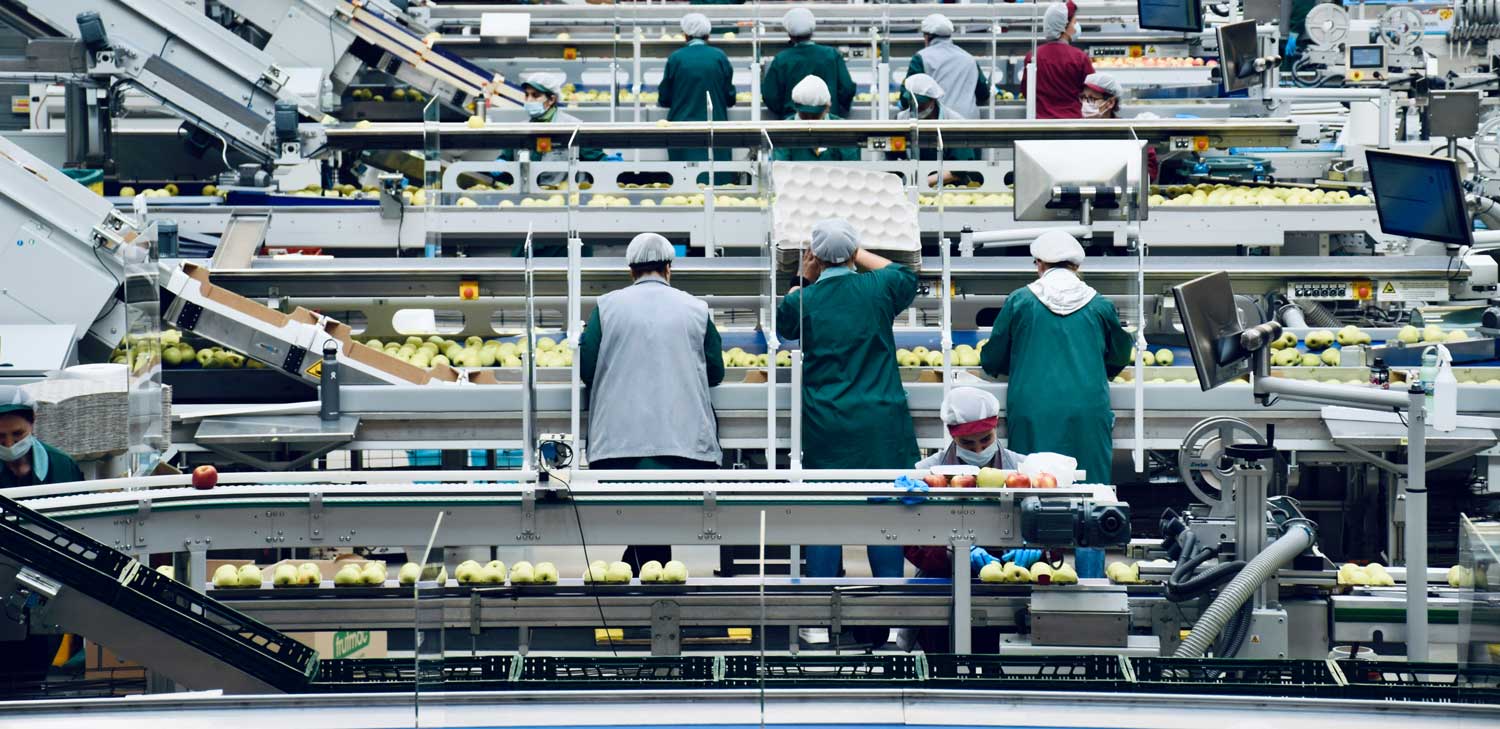 a group of people working in a food factory